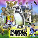 Paradise Wildddddlife Park Guide 2008 - Montage of  animals and activities at the Park